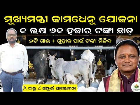 ମୁଖ୍ୟମନ୍ତ୍ରୀ କାମଧେନୁ ଯୋଜନା | Details explanation of Mukhyamantri Kamadhenu Yojana |#mky