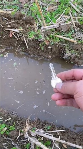 Amazing Life Hack: How to Find Your Key in Dirty Water Without Touching It!🔥❤️#shorts #facts