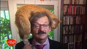 A serious political interview was interrupted when a cat climbed on to the professor's head! 😂 | The Morning Show