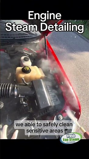 Professional Engine Steam Cleaning in Orlando, FL | Safe Engine Bay Detailing