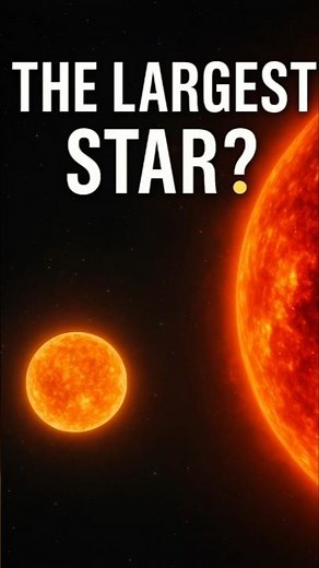 The Largest Star in the Universe? 🌟😱