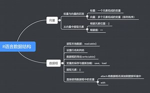 5分钟搞懂csp-j数据结构的重中之重——树和图