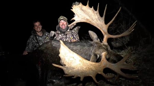 A once-in-a-lifetime hunt in the Yukon! Watch as a massive bull moose steps into bow range, testing skill, patience, and nerves. This is pure wilderness action with a truly world-class trophy. #YukonMoose #BowHunting #BigGame | Ellen Roman