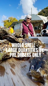 OYSTERS AVAILABLE IN-STORE LARGE QUANTITIES BY PRE-ORDER ONLY PAY ON PICK UP - NO DELIVERY 🦪🌊😁 #oysters #tio #summer #seafood #foodie | Tio Ōhiwa Oysters & Takeaways