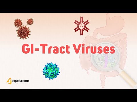 Picornavirus and Other GI-Tract Viruses | GI-Tract Viruses