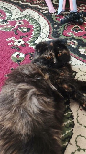 28 февраля 2026 г.