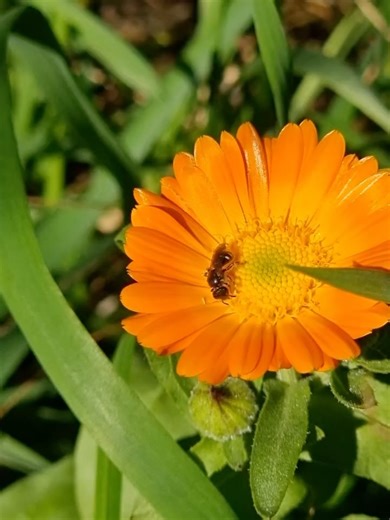 influenceuses_02🇺🇸 on Instagram