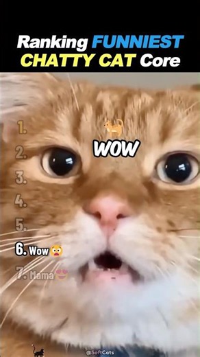 Ranking FUNNIEST Chatty Cats Core! 🗣️