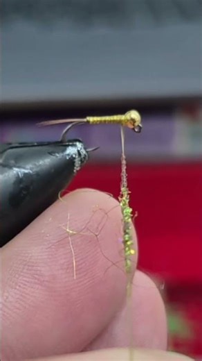 Jack Daniel's euro nymph jig #shorts #flytying #flyfishing