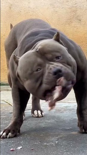 Hora do rango parte 2