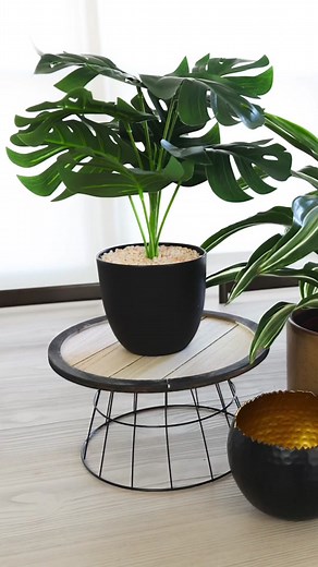 I love how this Dollar Tree planter turned out! 🌿 The final cost for this plant stand and plant from the Plus section at my Dollar Tree came out to be $7.50! Let me know what you think! 💕 #dollartreediy #dollartreefinds #dollartreecrafts #diyhomedecor #diydollartree #plantstand #diyplanter #plantsoftiktok #planttok