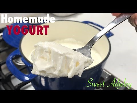 HOW TO MAKE YOGURT AT HOME WITH & WITHOUT A YOGURT STARTER | HOMEMADE YOGURT FROM SCRATCH