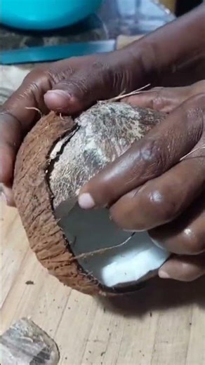 Striping A Bone Dry Coconut 🥥 With My Hand #shortsfeed #shorts Jamaica 🇯🇲