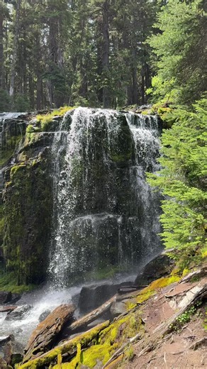 Bold where it needs to be, gentle where it can be. The water figured out the balance. You are figuring it out too. #TrustTheProcess #NatureTok #PNWNature #WaterfallVibes #GroundedVibes