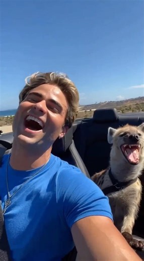 POV: you raise a hyena from birth 🤣