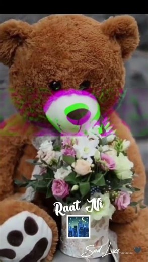 teddy #viral #trendingshorts #shortvideo