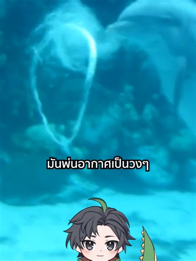 ปรากฏการณ์ Vortex Ring | TOGE トゲ