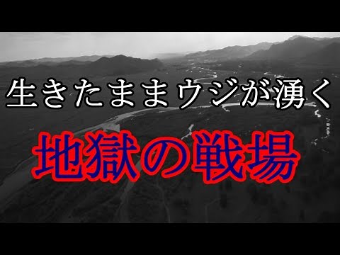 ［ゆっくり解説］インパールと白骨街道