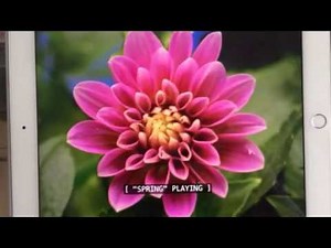 Oh yes oh yes it's springtime