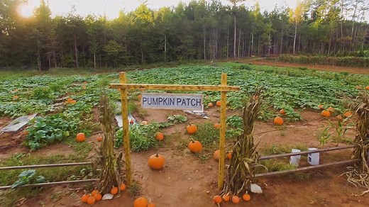 279 reactions · 78 shares | This fall bring your whole family out to...