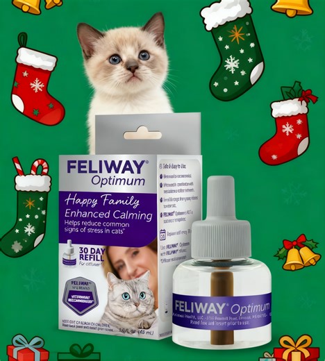 FELIWAY Optimum 6 x 30 Day Cat Calming Refills for Pheromone Diffuser, 6 x 48ml Value Pack - Helps Reduce Common Signs of Stress in Cats & Kittens, Enhanced Calming