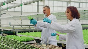 Scientific research on plants. Scientists take samples of soil, leaves, study vegetable seedlings. Experiment, discovery of new plant varieties. Study photosynthesis, greenhouse effect, plant growth