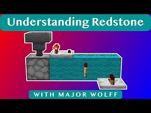 Understanding the Randomizer Circuit