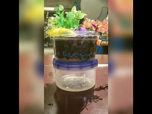 Make a Bioswale
