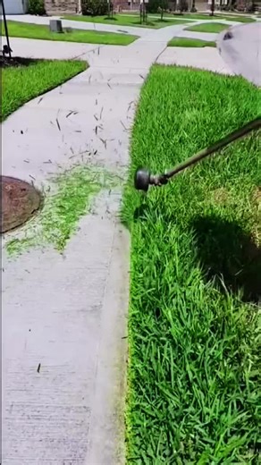 Transforming an Overgrown Yard with Lawn Care Tips