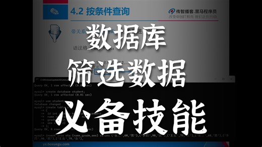 MySQL-9按条件查询