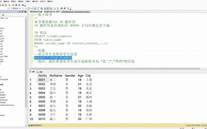 SQL高级教程 第三节SQL IN 操作符