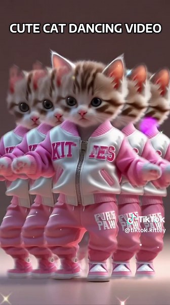 The Best Cat Dancing Videos on TikTok