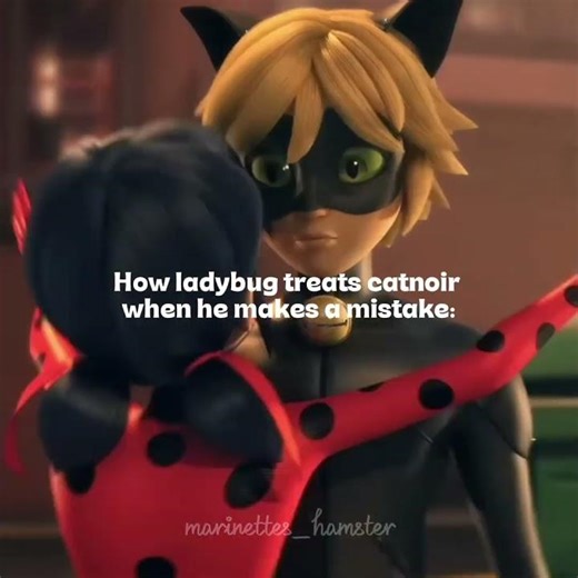 Made this to piss off the "ladybug doesn't treat cat noir right" people