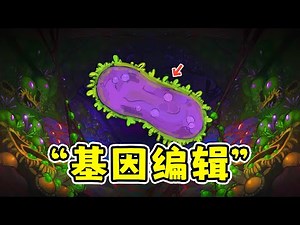 The root cause of disease: Spore-based pigeon-style modification, starting from the cell!