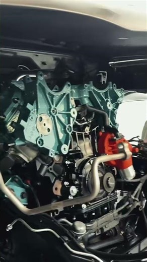 Lbz coming together nicely real engine bays on both trucks #digiuliosdiesels #duramax #gmt800