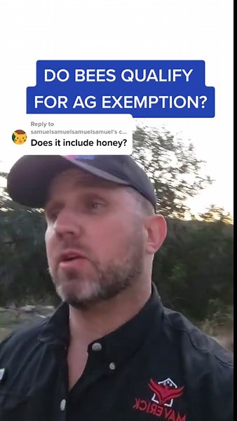 Can Bees Qualify for Agricultural Exemption in Texas?