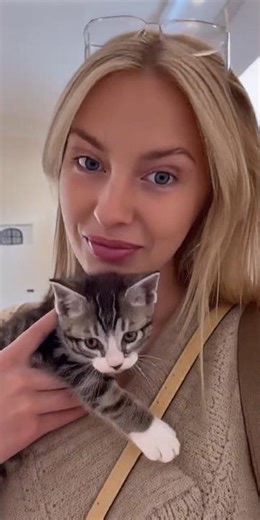 Des chatons dans un distributeur ?! #shorts