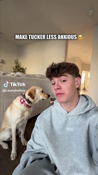 My son is so brave #dog #cutedog #dogtraining