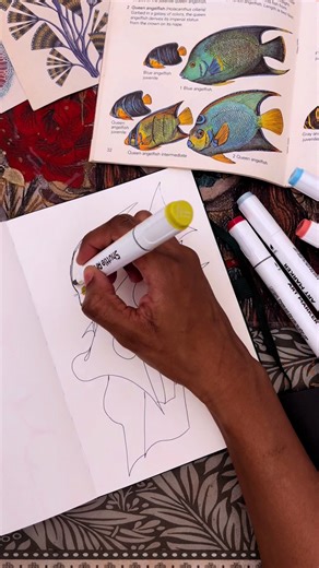 So excited to try theee new markers 😍 so far so good! Some things to consider below! 1.The marker features a triangle-shaped body, which is comfortable to grip and helps prevent it from rolling off the table. 2.It comes with an upgraded magnetic marker box. The folding plates can be rotated to form a triangular marker holder for horizontal storage, and the carrying case is more portable. #alcoholmarker #shuttleart