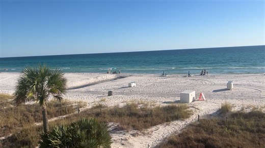 Scott Clarke on Reels