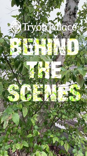 Behind the Scenes Spotlight: Weeds Edition. Every day, our gardeners work hard to make our grounds look beautiful. Sometimes you just have to bring in a flame weeder! Let us know in the comments what behind the scenes footage you want to see next! #tryonpalace #nchistoricsites #downtownnewbern #visitnewbern #tryonpalacegardens #blowtorch #flamethrower #gardening #fire | Tryon Palace