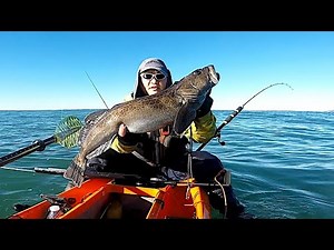 Lingcod CANNOT RESIST This Bait, ATE Them In Seconds