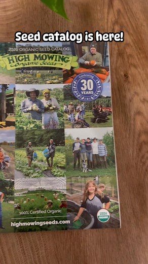 Just got my first seed catalog of the 2026 season. And honestly, All I want for Christmas… is every single seed inside. It’s time to start ordering your free catalogs. . . #seedcatalog #gardenplanning #gardeninspiration #growyourownfood #homesteadgarden #springgarden #seedstarting | Homestead How-To