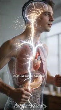 🧠 THE VAGUS NERVE | Parts of the Human Body #69