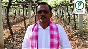 In the Video, the Farmer has explained the services available on AgriApp like purchase of Fertilizers and Pesticides, Drone Services for Spraying and Satellite insights of the Farm. ವೀಡಿಯೊದಲ್ಲಿ, ರೈತನು ಅಗ್ರಿಆಪ್‌ನಲ್ಲಿ ಲಭ್ಯವಿರುವ ರಸಗೊಬ್ಬರಗಳು ಮತ್ತು ಕೀಟನಾಶಕಗಳ ಖರೀದಿ, ಸಿಂಪಡಿಸಲು ಡ್ರೋನ್ ಸೇವೆಗಳು ಮತ್ತು ಫಾರ್ಮ್‌ನ ಉಪಗ್ರಹ ಒಳನೋಟಗಳಂತಹ ಸೇವೆಗಳನ್ನು ವಿವರಿಸಿದ್ದಾನೆ. #AgriApp #agritech #agriculturelife | AgriApp Technologies Pvt Ltd