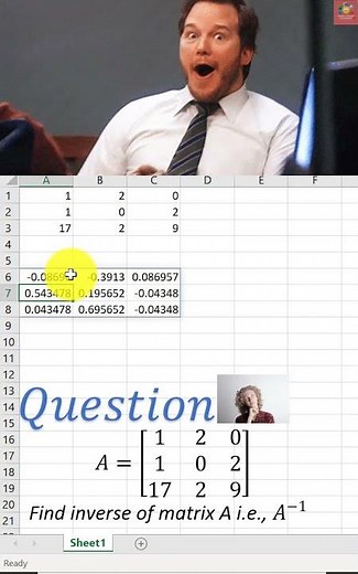 Inverse of a Matrix in excel |Subscribe| #Shorts