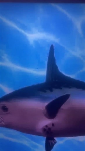 The SpongeBob intro, but if the captain and the kids are drunk and keep goofing off ￼