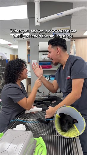Building a Sibling-Like Bond in Veterinary Clinics