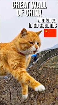 Great Wall of China, Mutianyu in 60 seconds, November 2025 #travel