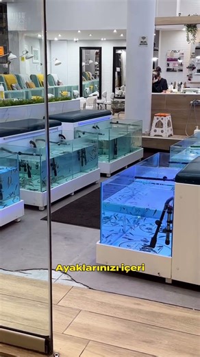 Hiç pedikür yapan balık gördünüz mü?